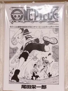 Amazon.co.jp: ONE PIECE 扉絵キャンバスアートボード カラー Z