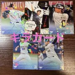 Item thumbnail for item 13d59b91-a42c-46fa-9557-674c8bef80fb