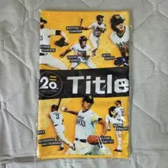 新品未開封品 福岡ソフトバンクホークス タイトルホルダー フェイスタオル