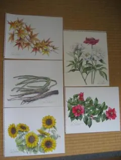 原画　季節の草花（その２）水彩画５点