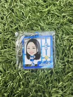 diana2025saeさん まぜガチャ　アクリルキーホルダー