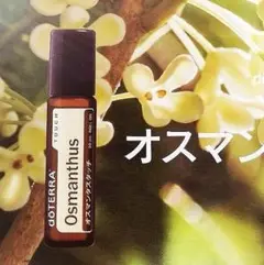 doTERRA ドテラ 限定 オスマンタス 金木犀 10ml✖️2個 doTERRA ドテラ 限定 オスマンタス 金木犀 10ml✖️2個 - メルカリ