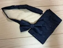 Item thumbnail for item dd6e05df-cbac-435b-bcbf-bfb039b32688