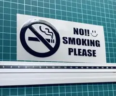 Item thumbnail for item 408b8b07-4a12-4dba-afad-152e6aae02f4