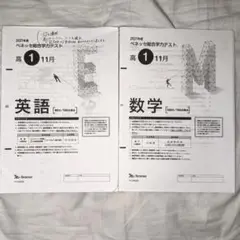 2021年 高１11月 ベネッセ総合学力テスト 英数