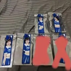 横浜DeNAベイスターズdianaフライングタグ セット