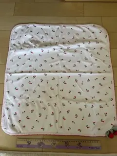 Item thumbnail for item 6e17a5a5-b4a7-4431-9421-2bded2d93fd5