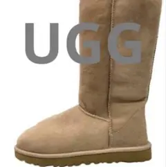 Item thumbnail for item 519cc5e3-ce7c-447d-a226-d5c15d8d2b2e