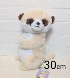 こっちむいて　ミーアちゃん　JB ぬいぐるみ　30cm