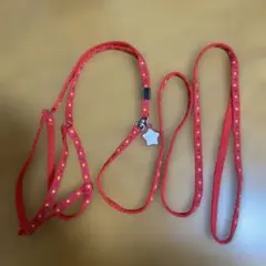 Item thumbnail for item 245fad45-d076-4f45-aa89-0a2f97468850