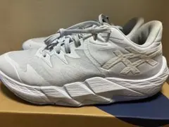 アンプレアルス Low2