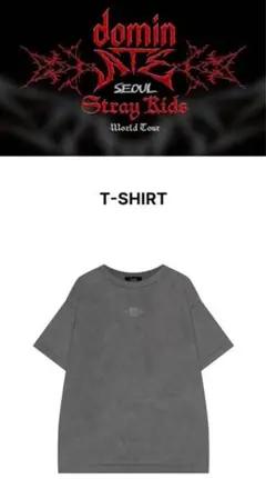 2025年最新】STRAYKIDS dominate seoul tシャツの人気アイテム