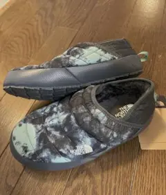 Item thumbnail for item 5c20b90e-11ea-469c-a669-2fc361693ed7