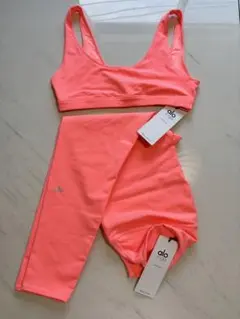 【新品未使用】aloyoga トップス　レギンス　上下セット