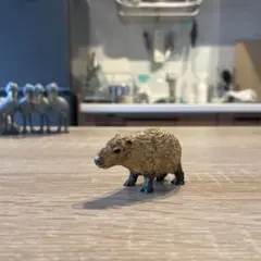 ハシモトミオ 那須どうぶつ王国 カピバラ