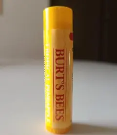 Burt's Bees Tropical Pineapple リップクリーム