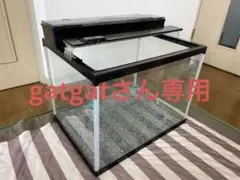 水槽 幅60cm×奥行45cm×高さ45cm 直ぐ使える一式セット