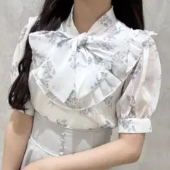新品未使用　evelyn 花柄レースフリルBS オフホワイト