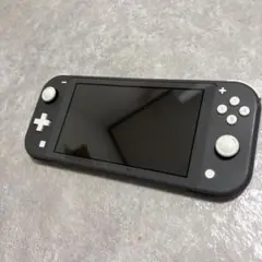 ジャンク品Nintendo Switch Lite グレー 本体　画面映りが不良