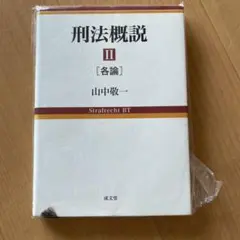 刑法概説 II [各論] 山中敏一著