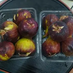 京都城陽産いちじく60サイズ。
