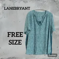 Item thumbnail for item d5c58ea7-a13a-4201-9f54-03675698a10d