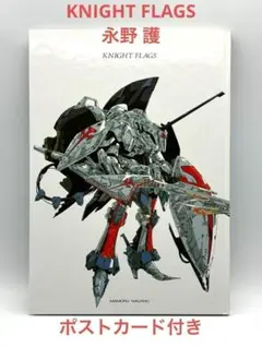 ファイブスター物語　KNIGHT FLAGS　初回特典付き　他　画集セット Amazon.co.jp: 永野護作品集 FSS ナイトフラグス/KNIGHT FLAGS : 本