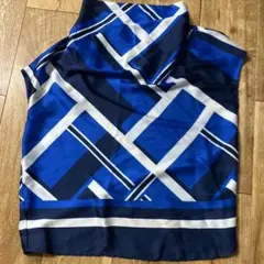 ZARA 素敵なトップス