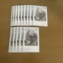 にじさんじ 叢雲カゲツ Dytica チェキ 14枚