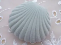 グレー★貝のアクセサリー ケース★ギフト用ボックス　shell gift box