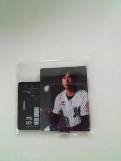 ロッテ 木村選手 アクリルスタンド オンラインくじ