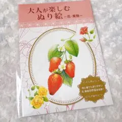 未使用 大人が楽しむぬり絵 花・果物 8作品 いちご ぶどう もも さくらんぼ