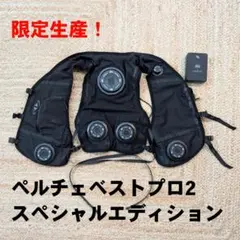 Item thumbnail for item 51e361a7-3ee9-4caa-8ff7-cc8336a3b0d4