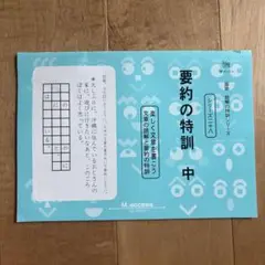 要約の特訓 中　国語