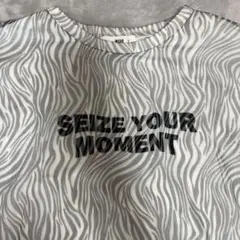 ゼブラ柄 Tシャツメッシュ
