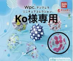 Wpc. ミニチュア傘コレクション