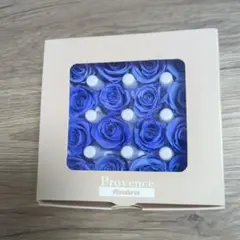 Item thumbnail for item 59d0ee90-dd03-452f-b575-f8dc6d18a72a