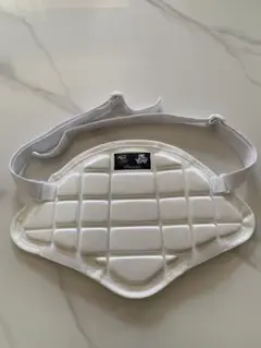 胴プロテクター
