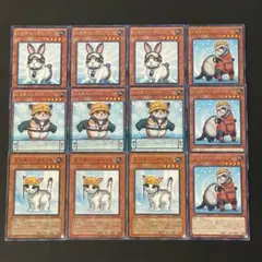 遊戯王　レスキューラビット　キャット　ラット　フェレット　各3枚