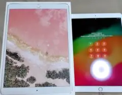 iPad 本体 ピンク 取扱説明書付き {２５６ギガ}