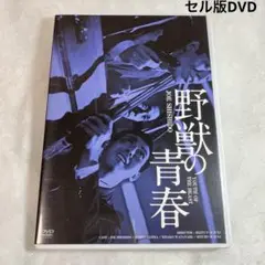 野獣の青春　セル版DVD 鈴木清順