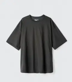 ワイルドシングス　アイスパックTシャツ　ICEPACK TEE チャコール　M