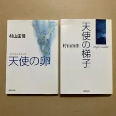 村山由佳 天使の卵 & 天使の梯子 セット　集英社文庫
