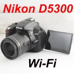❤️WI-Fi機能搭載❤️自撮り❤️Nikon D5300