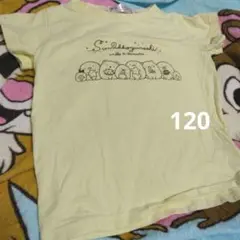 すみっコぐらし Tシャツ 120サイズ