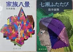 筒井 康隆　文庫２冊セット（家族八景 ・七瀬ふたたび）
