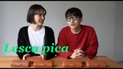 美品 田中遙 Lesca LUNETIER レスカルネティエPICA ピカ 黒縁