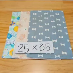 女の子柄☆ランチョンマット25×35♪１枚仕立て・3枚セット