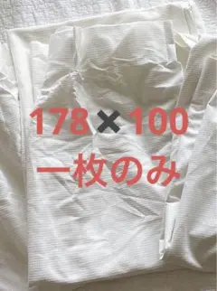‼️本日限定価格‼️