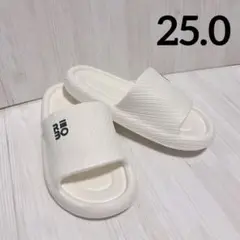 Item thumbnail for item 02ca380c-536c-47b0-a148-f0929a078dcb